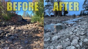 Photos: Before and After Dam Construction