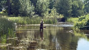 Discharge Flow Measurements Suggest Three Times More Water Flowing OUT Of Our Lake Chain Than INTO It