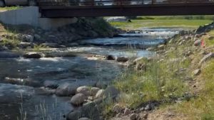 Why the Woman Lake Chain is Reaching Near Historic Lows After the New RAR: A Citizen‑Research Summary for Lake Residents